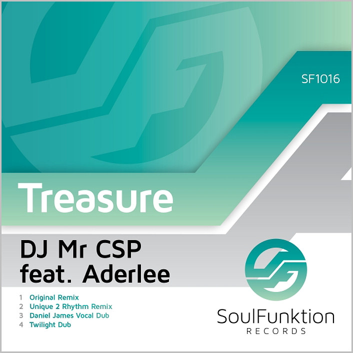 DJ Mr CSP feat. Aderlee : Treasure